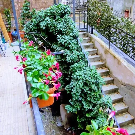 Apartment Arte *