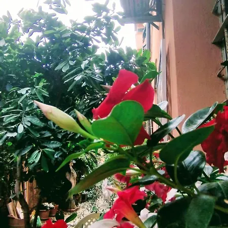 Apartment Arte Imperia