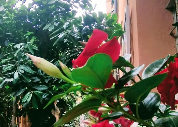 شقة Arte إمبيريا